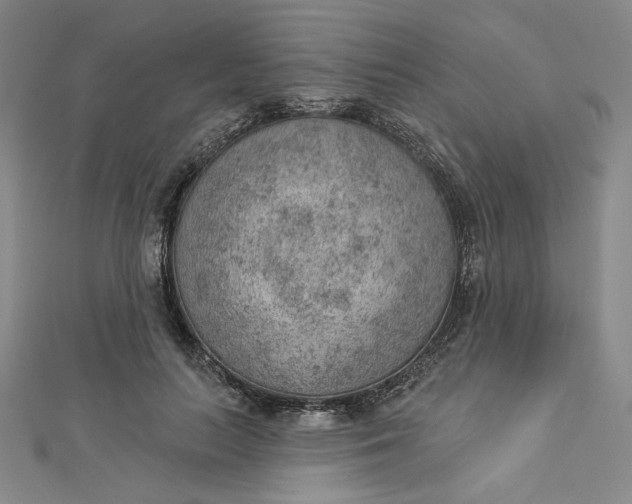 X0000112780647200909031629