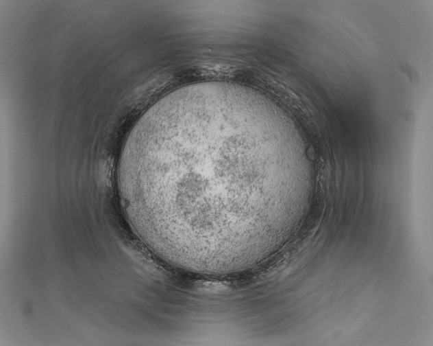 X0000112780649200909031629