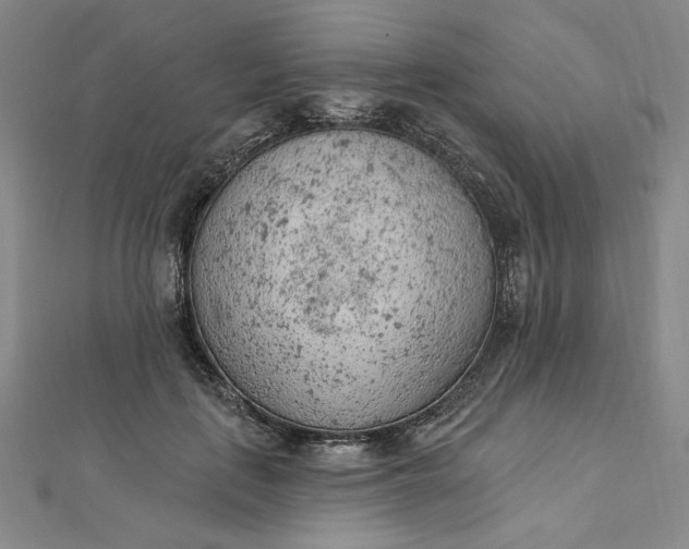 X0000112780651200909031629