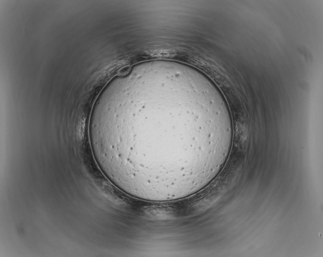 X0000112780652200909031629