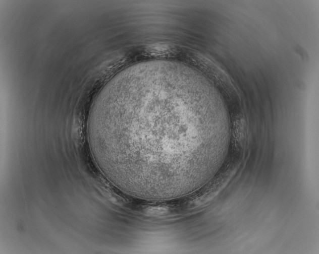 X0000112780653200909031629