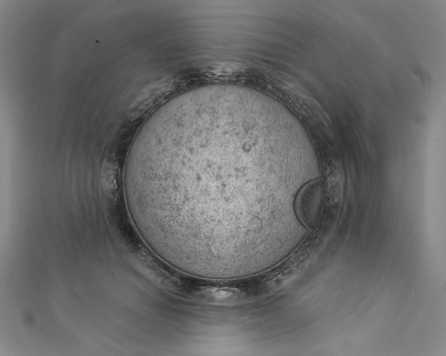 X0000112780654200909031629