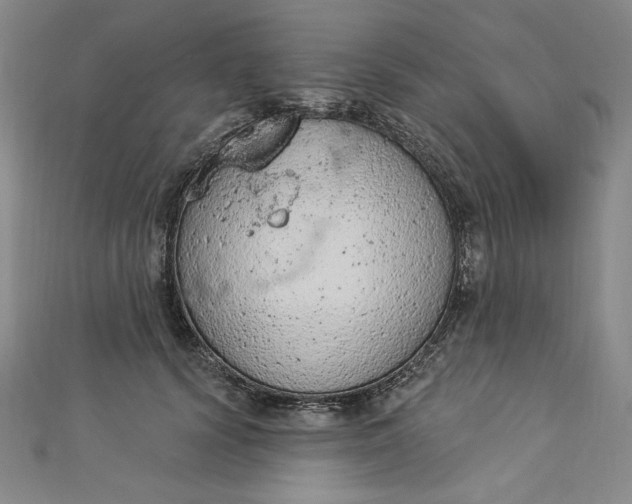 X0000112780656200909031629