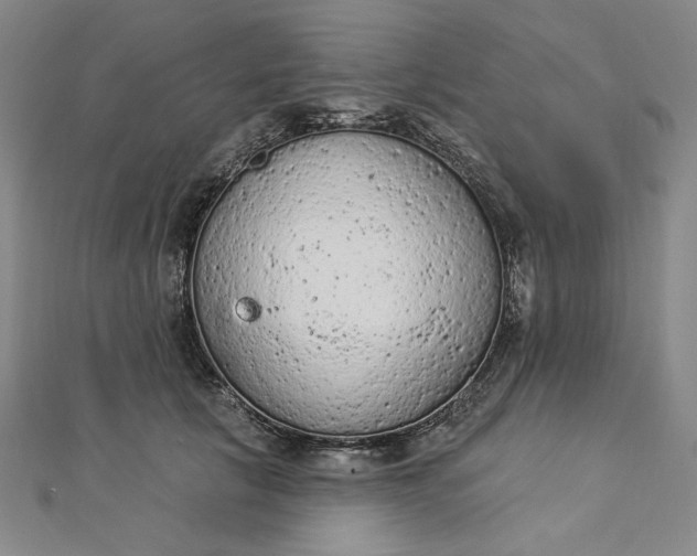 X0000112780657200909031629