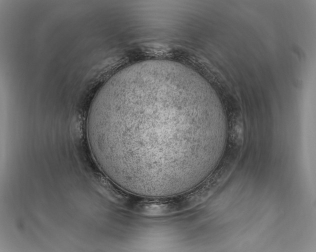 X0000112780658200909031629