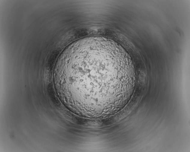 X0000112780659200909031630