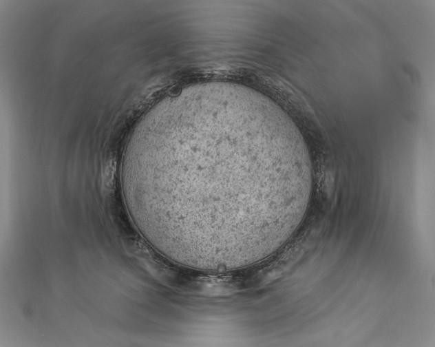 X0000112780660200909031630