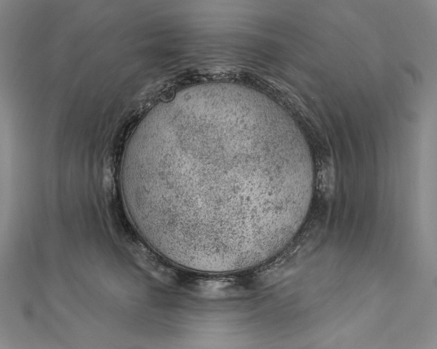 X0000112780662200909031630