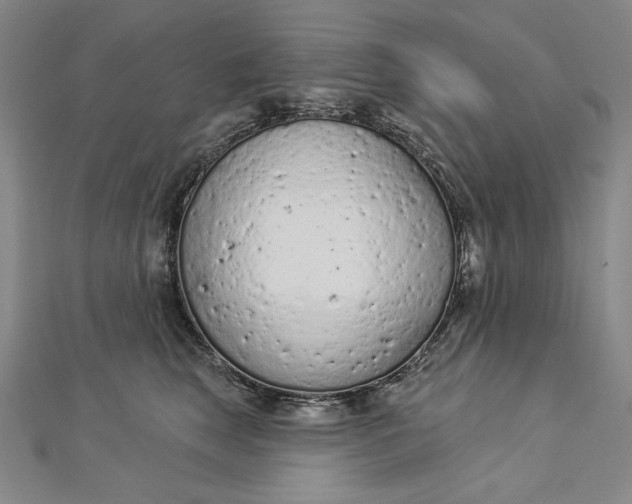 X0000112780663200909031630