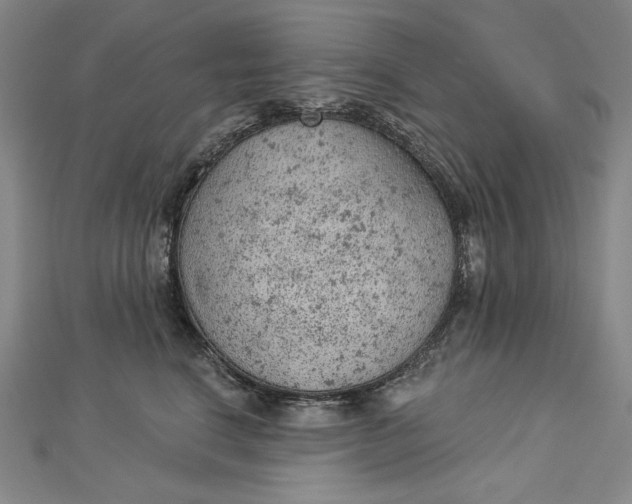 X0000112780664200909031630