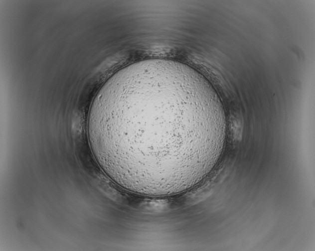 X0000112780665200909031630