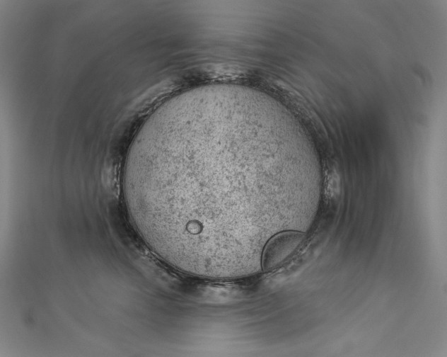 X0000112780666200909031630