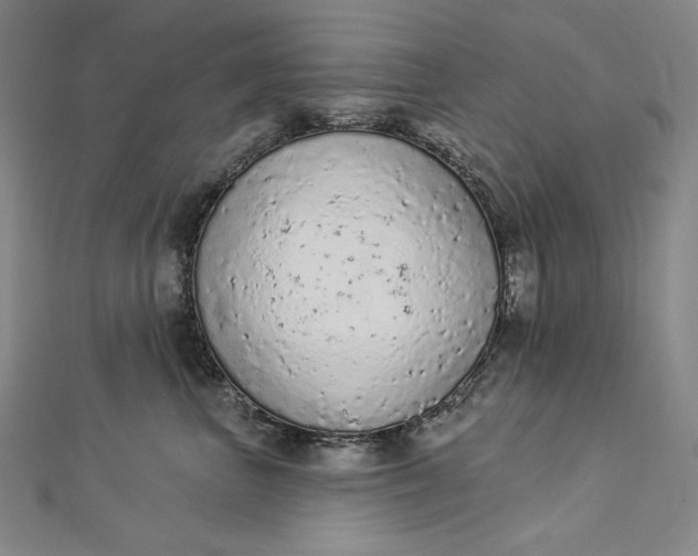 X0000112780667200909031630