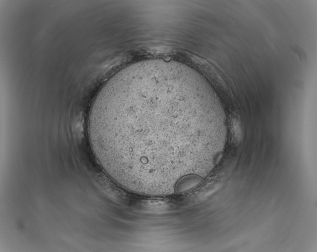 X0000112780668200909031630