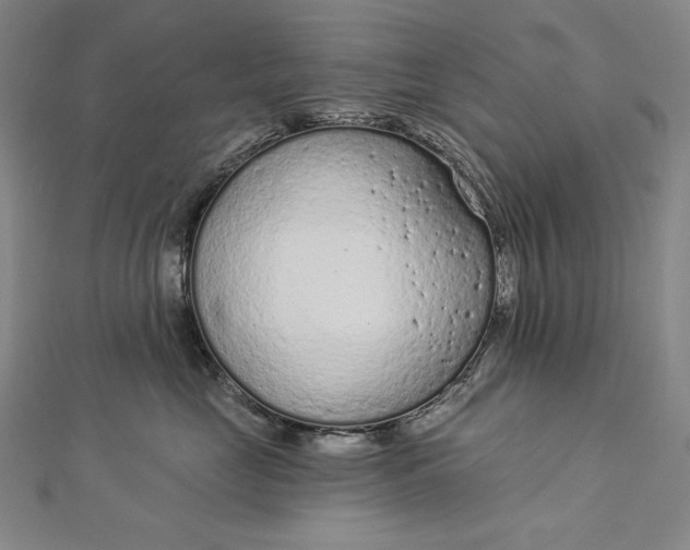 X0000112780669200909031630