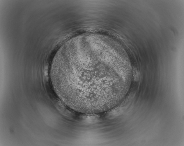 X0000112780670200909031630