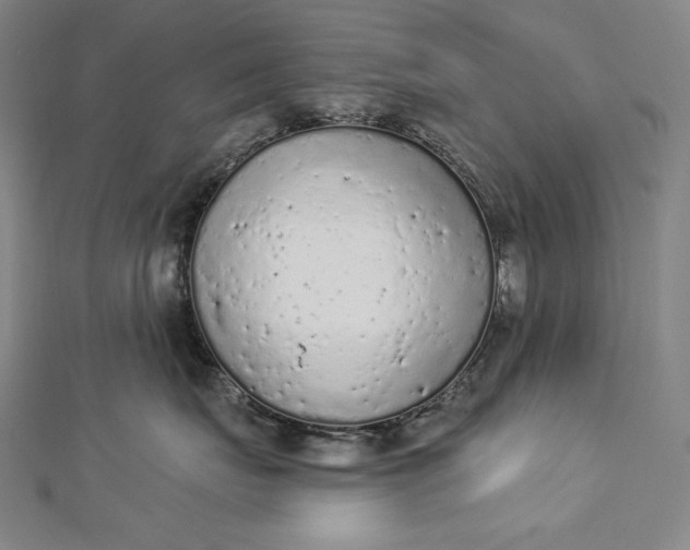 X0000112780671200909031630