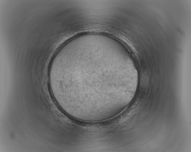 X0000112780673200909031629