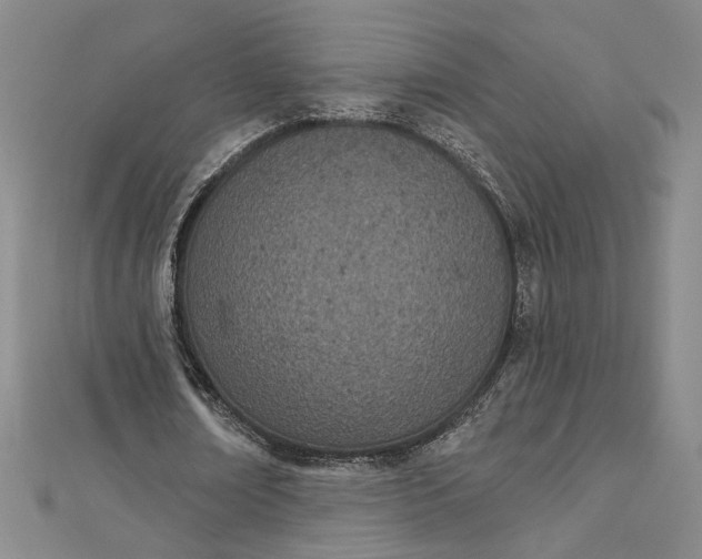 X0000112780674200909031629