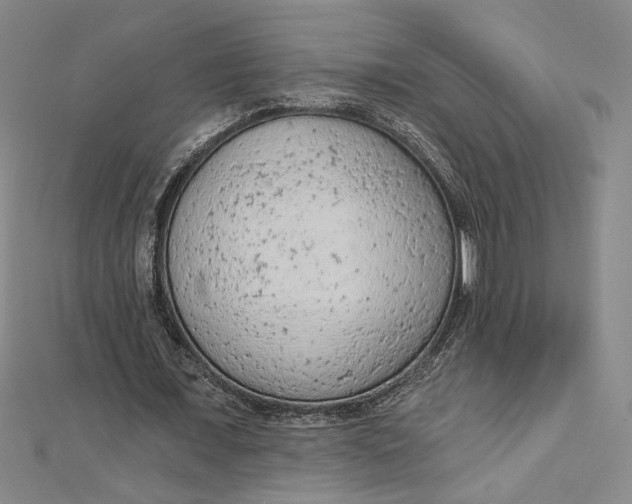 X0000112780675200909031629