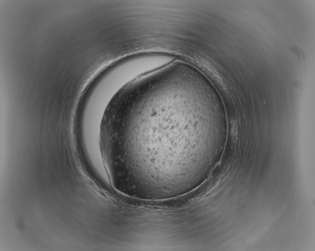 X0000112780676200909031629