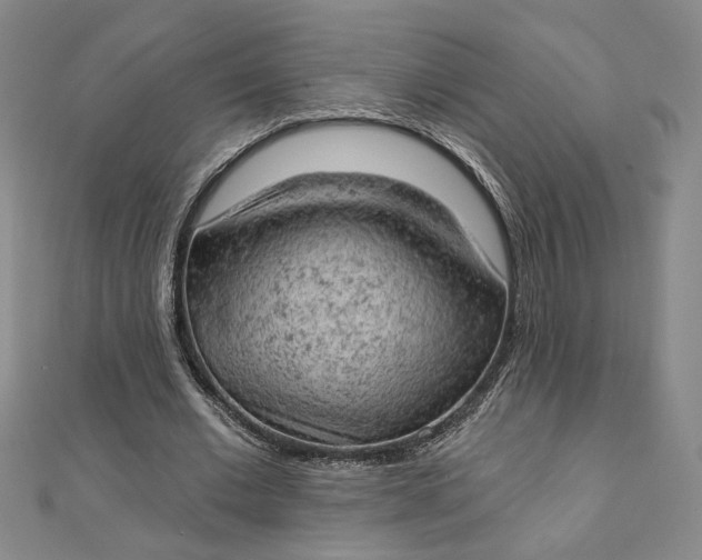 X0000112780677200909031629