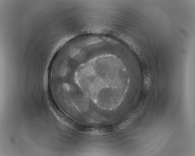 X0000112780678200909031629