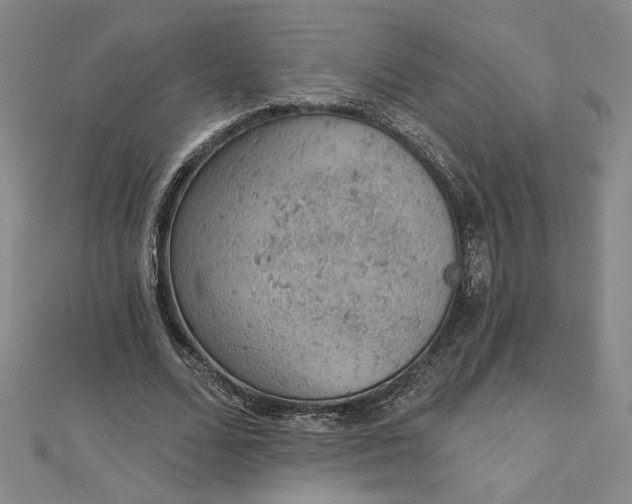 X0000112780680200909031629