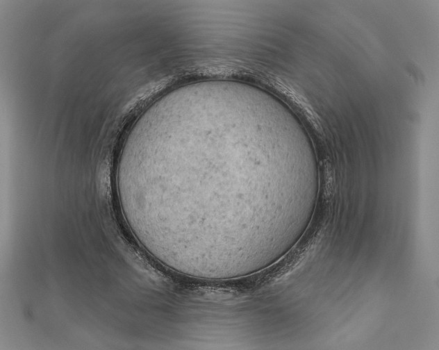 X0000112780681200909031629