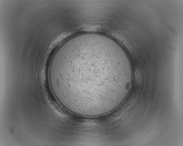 X0000112780682200909031629