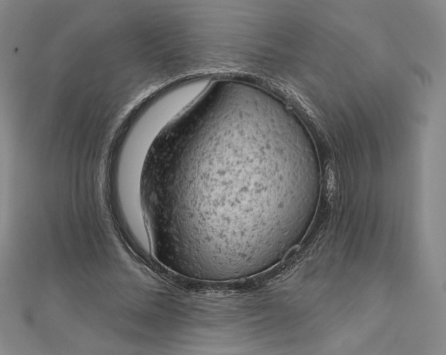 X0000112780684200909031629