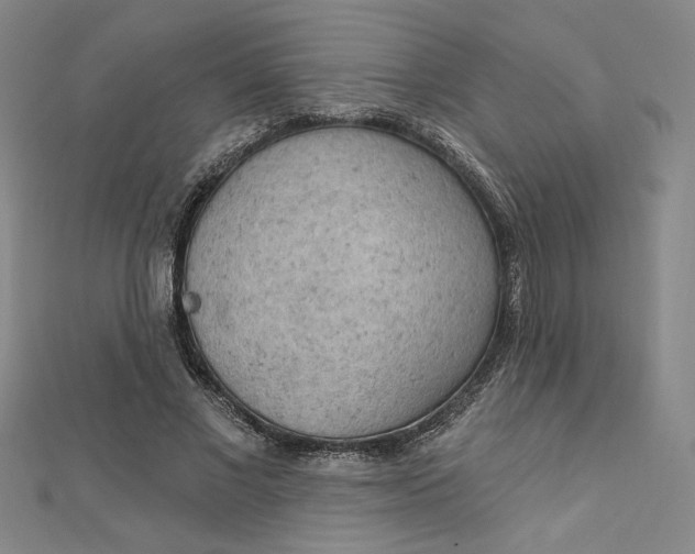 X0000112780685200909031629