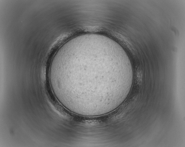 X0000112780686200909031629