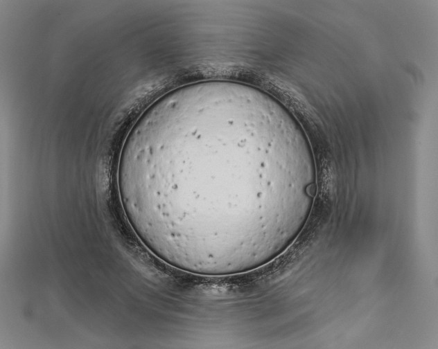 X0000112780687200909031629