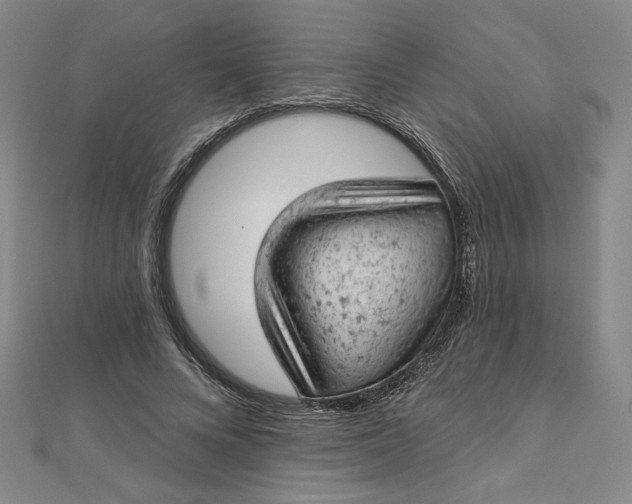 X0000112780688200909031629