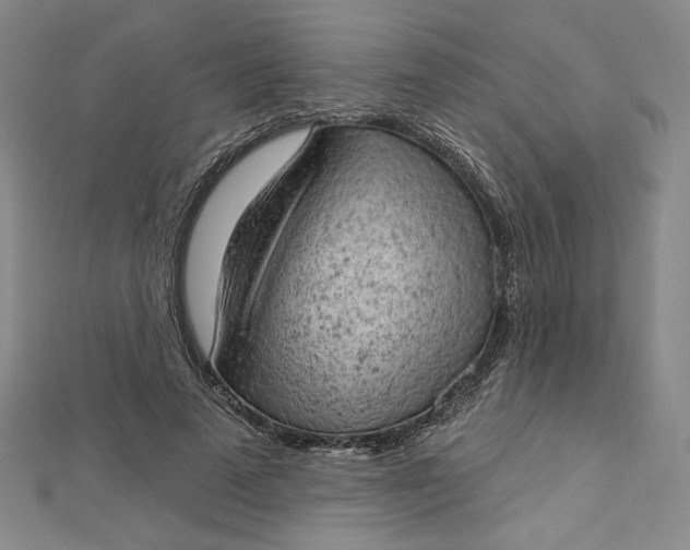 X0000112780689200909031629