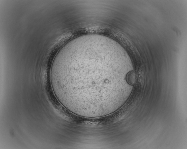 X0000112780690200909031629