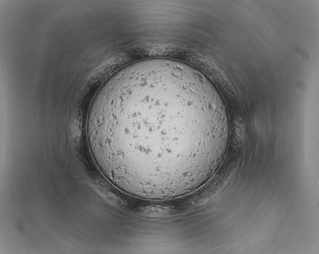 X0000112780691200909031629