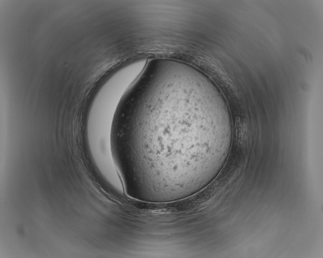 X0000112780692200909031629