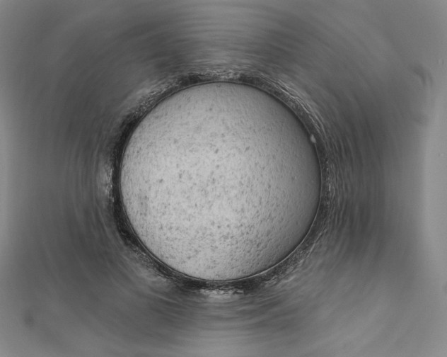 X0000112780693200909031629