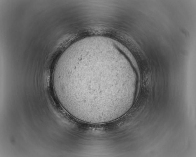 X0000112780694200909031629