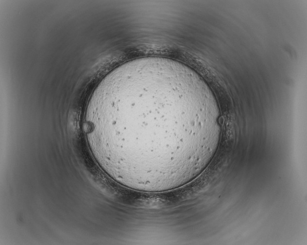 X0000112780695200909031629