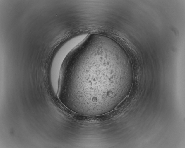 X0000112780696200909031629