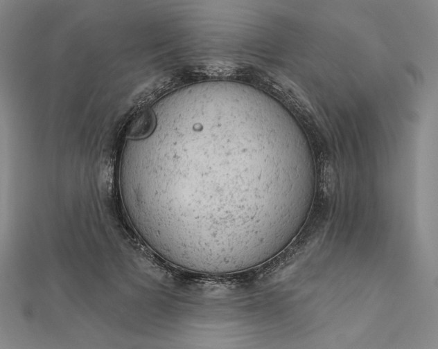 X0000112780697200909031629