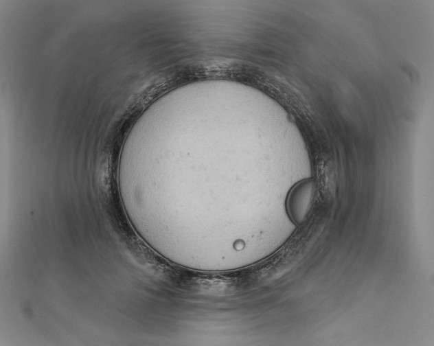 X0000112780698200909031629