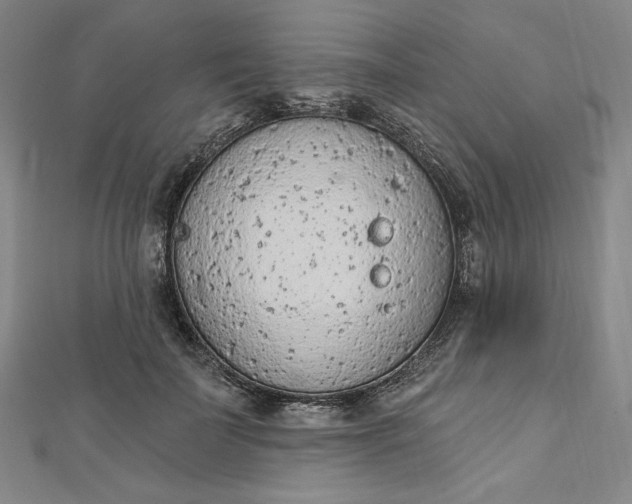 X0000112780699200909031629