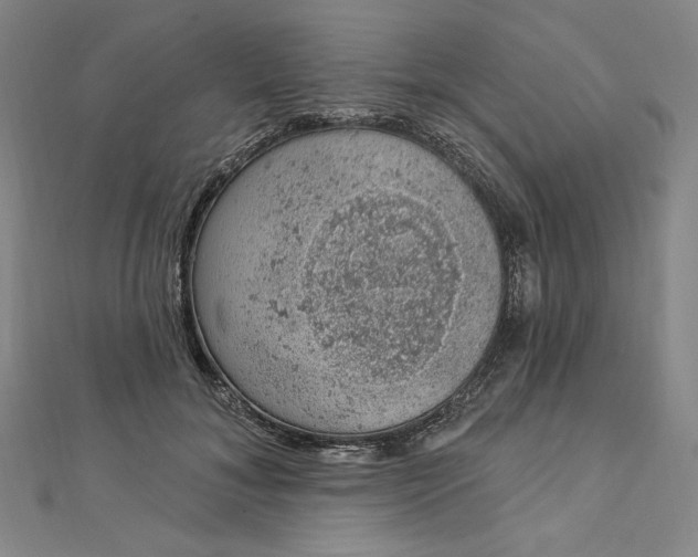 X0000112780700200909031629