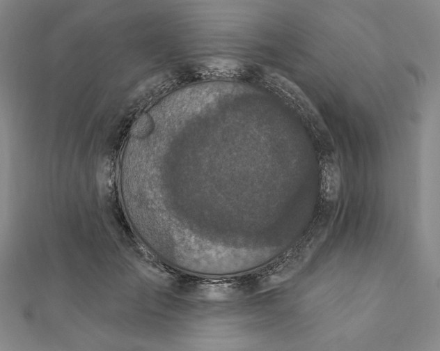 X0000112780701200909031629