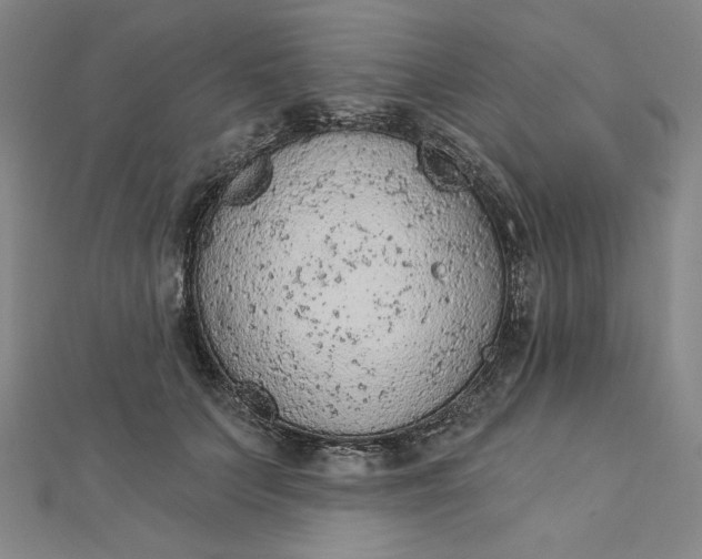 X0000112780703200909031629