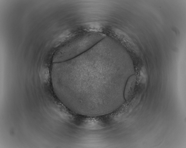 X0000112780704200909031629